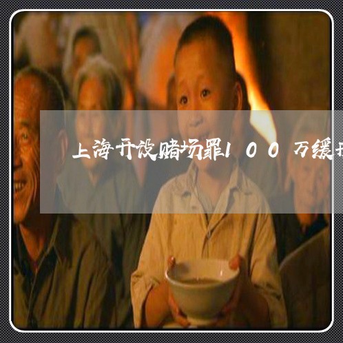 上海开设赌场罪100万缓刑/2023032739163