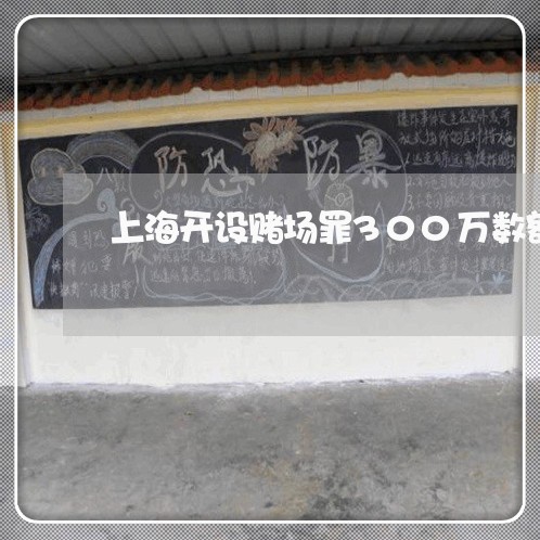 上海开设赌场罪300万数额/2023032716019