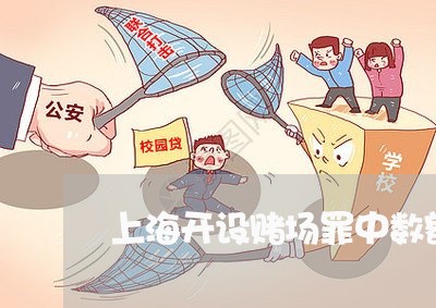 上海开设赌场罪中数额的认定/2023032773593