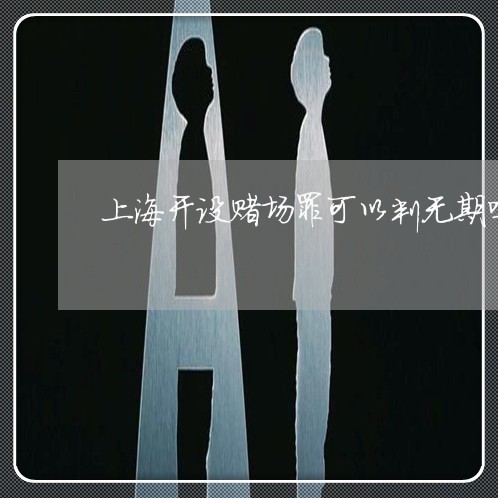 上海开设赌场罪可以判无期吗/2023032794835