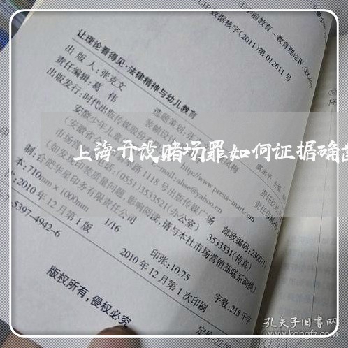 上海开设赌场罪如何证据确凿/2023032749269 上海开设赌场罪如何证据确凿/2023032749269