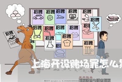 上海开设赌场罪怎么累积获利/2023032671591