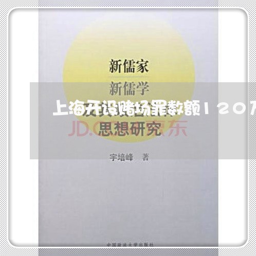 上海开设赌场罪数额120万/2023032753920