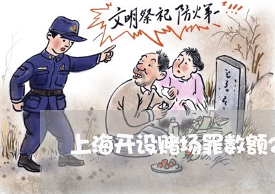 上海开设赌场罪数额200万/2023032761403