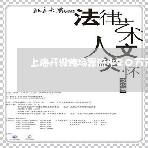 上海开设赌场罪流水20万元/2023032604815