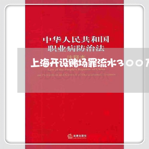 上海开设赌场罪流水300万/2023032669282