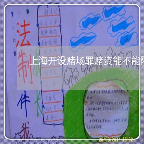 上海开设赌场罪赌资能不能降/2023032694027