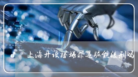 上海开设赌场罪退赃能缓刑吗/2023032782612