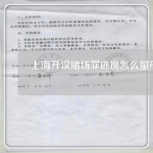上海开设赌场罪逃逸怎么量刑/2023032771482