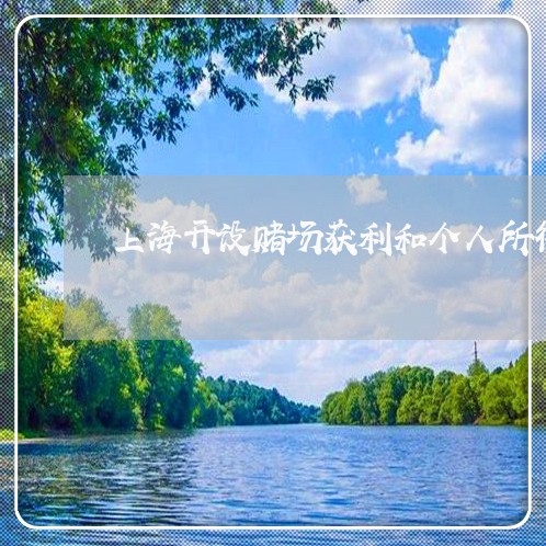 上海开设赌场获利和个人所得/2023032628369 上海开设赌场获利和个人所得/2023032628369