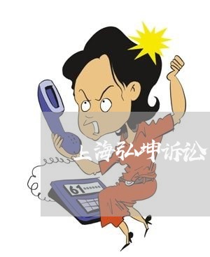 上海弘坤诉讼