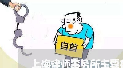 上海律师事务所主要在哪个区/2023032622826