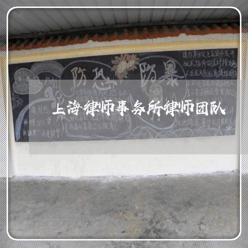 上海律师事务所律师团队/2023032150616