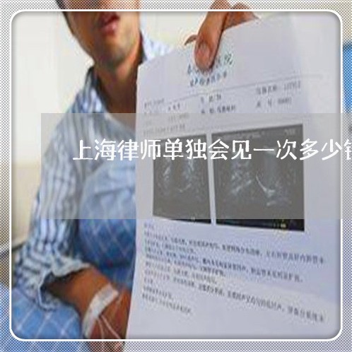 上海律师单独会见一次多少钱/2023032672683