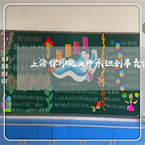 上海律师执业中承担刑事责任/2023032781715