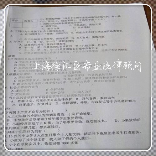 上海徐汇区专业法律顾问/2023061830492
