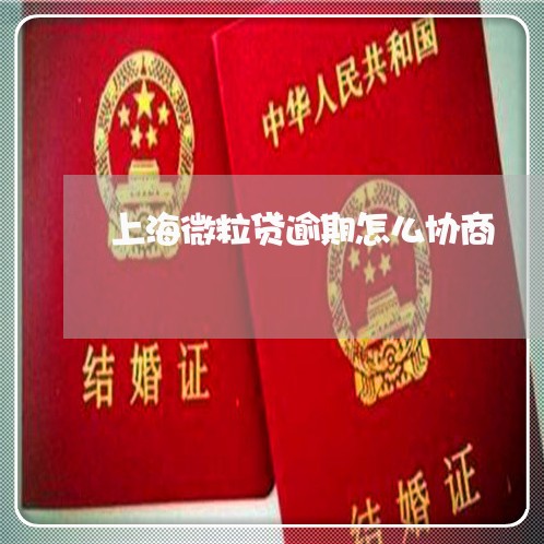 上海微粒贷逾期怎么协商 上海微粒贷逾期怎么协商