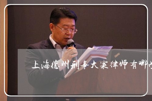 上海德州刑事大案律师有哪些/2023032648480