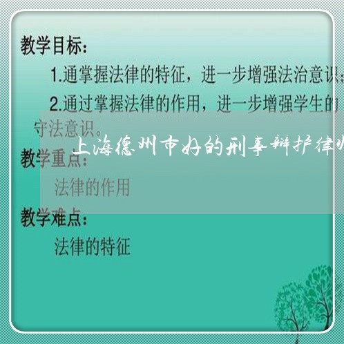上海德州市好的刑事辩护律师/2023032734835