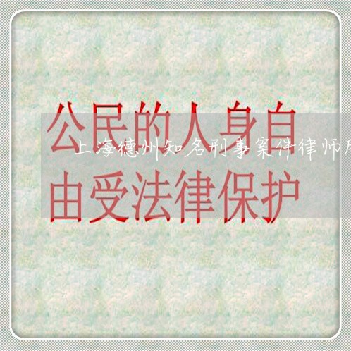 上海德州知名刑事案件律师所/2023032708262