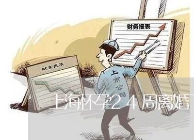上海怀孕24周离婚了做引产/2023032779714