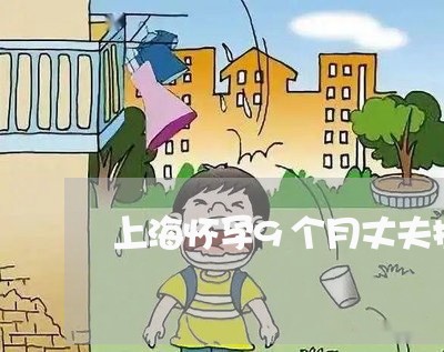 上海怀孕9个月丈夫提出离婚/2023032759281