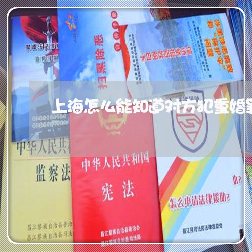上海怎么能知道对方犯重婚罪/2023032728242