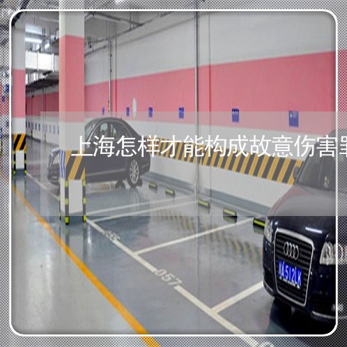 上海怎样才能构成故意伤害罪/2023032786039