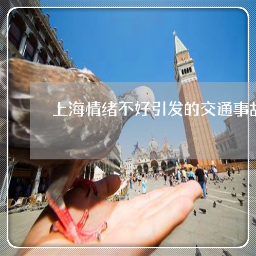 上海情绪不好引发的交通事故/2023032761583 上海情绪不好引发的交通事故/2023032761583