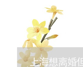 上海想离婚但不想起诉怎么办/2023032716951