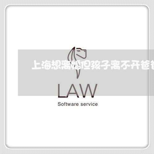 上海想离婚但孩子离不开爸爸/2023032793826