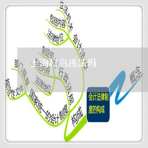 上海打鸟违法吗 上海打鸟违法吗