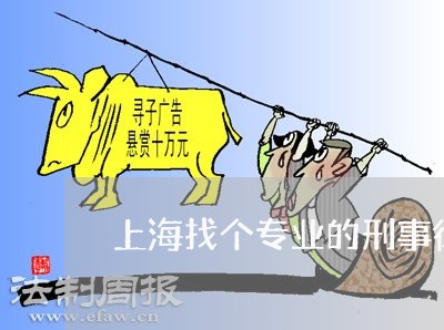 上海找个专业的刑事律师团队/2023032650390