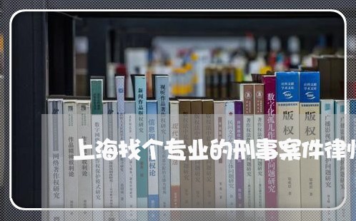 上海找个专业的刑事案件律师/2023032659260