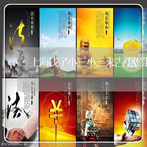 上海找了小三小三来告重婚罪/2023032648189