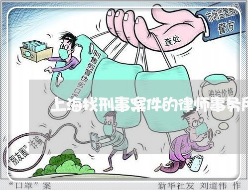 上海找刑事案件的律师事务所/2023032626351