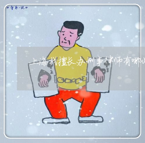 上海找擅长办刑事律师有哪些/2023032688481