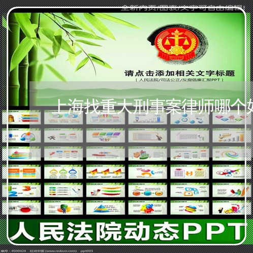 上海找重大刑事案律师哪个好/2023032642692