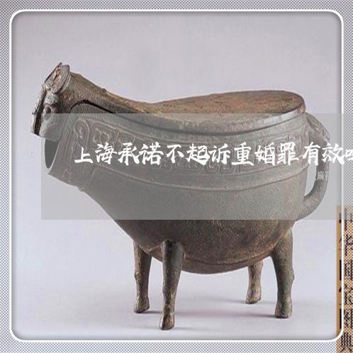 上海承诺不起诉重婚罪有效吗/2023032660395