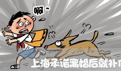 上海承诺离婚后就补偿50万/2023032638159