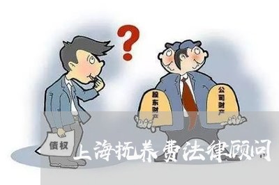 上海抚养费法律顾问 上海抚养费法律顾问