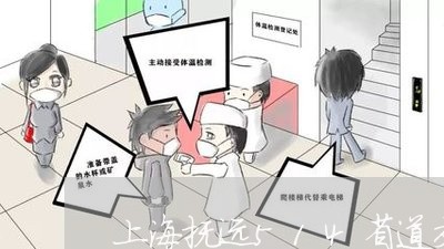 上海抚远514省道交通事故/2023032626393 上海抚远514省道交通事故/2023032626393