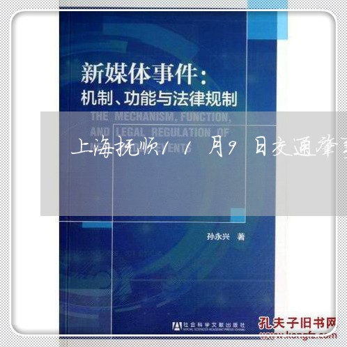 上海抚顺11月9日交通肇事/2023032662393 上海抚顺11月9日交通肇事/2023032662393