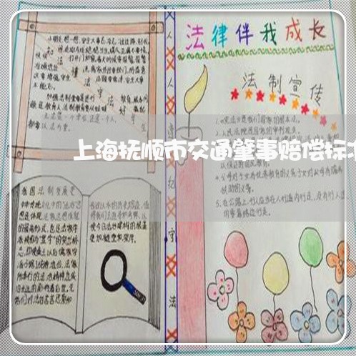 上海抚顺市交通肇事赔偿标准/2023032686946