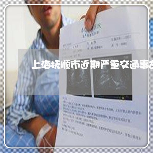 上海抚顺市近期严重交通事故/2023032635130 上海抚顺市近期严重交通事故/2023032635130