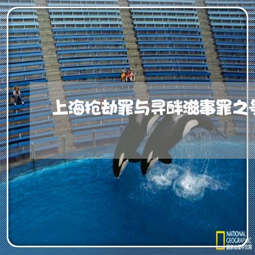 上海抢劫罪与寻衅滋事罪之争/2023032639170 上海抢劫罪与寻衅滋事罪之争/2023032639170