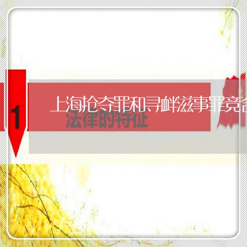 上海抢夺罪和寻衅滋事罪竞合/2023032688382