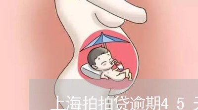 上海拍拍贷逾期45天怎么样/2023062926067