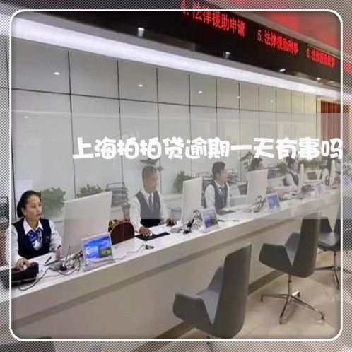 上海拍拍贷逾期一天有事吗/2023011754829 上海拍拍贷逾期一天有事吗/2023011754829