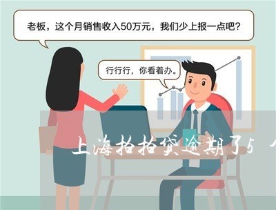 上海拍拍贷逾期了5个月 上海拍拍贷逾期了5个月